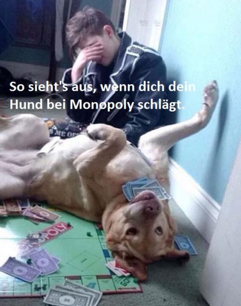 Monopoly.thumb.jpg.0f76fd6c42b605c525aacf2836a4eeae.jpg
