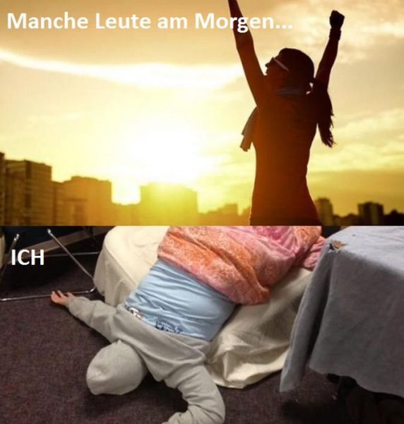 Morgen.thumb.jpg.fba4380951ea0cbf09743df693caaf3e.jpg