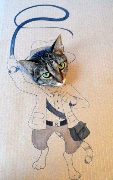 Katze3.thumb.jpg.e197a9c85a6491166d993daa48868949.jpg