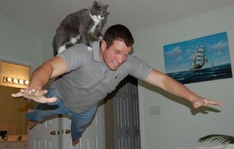 Katze4.thumb.jpg.3d003d20c77344f026672da98bca2272.jpg