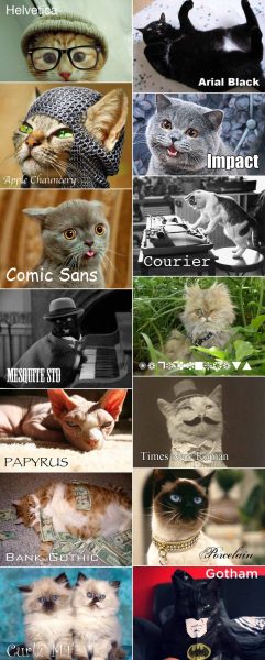 Katzen.thumb.jpg.3ba429bd556d1f26f6369ff58f1fc5fc.jpg