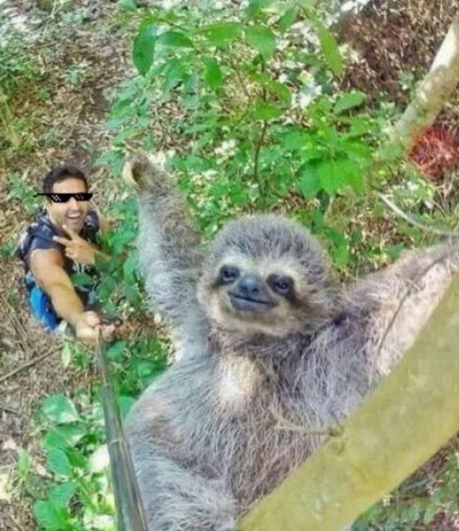 Selfie.thumb.jpg.f7a5e5fe505ea0118e1eb413fe31a10b.jpg