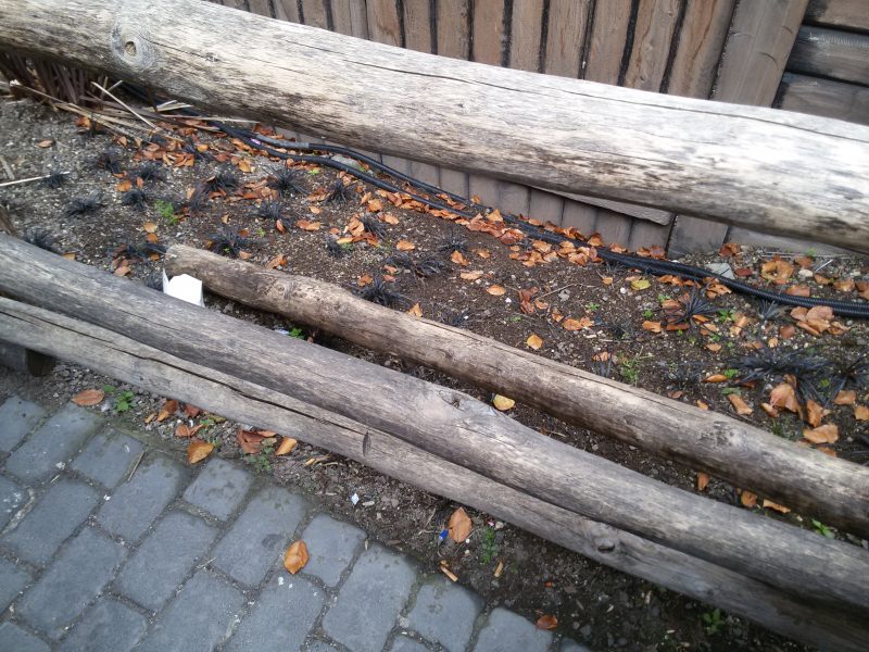 20171023_141653.jpg