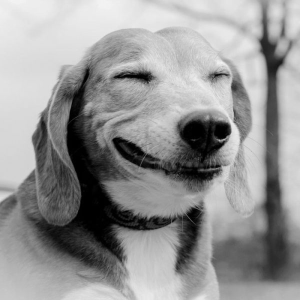 Happy2.thumb.jpg.f208fcf277d351a8f15dfc1a243fa227.jpg