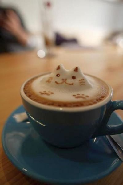 Katze3.thumb.jpg.ac39d7844ca5b90cbbf4b88582928c07.jpg