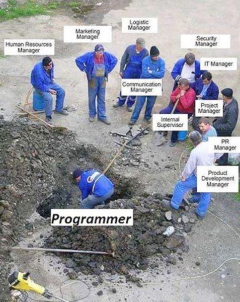 Programmer.thumb.jpg.decc92ec9cb47e45ff22664879332808.jpg