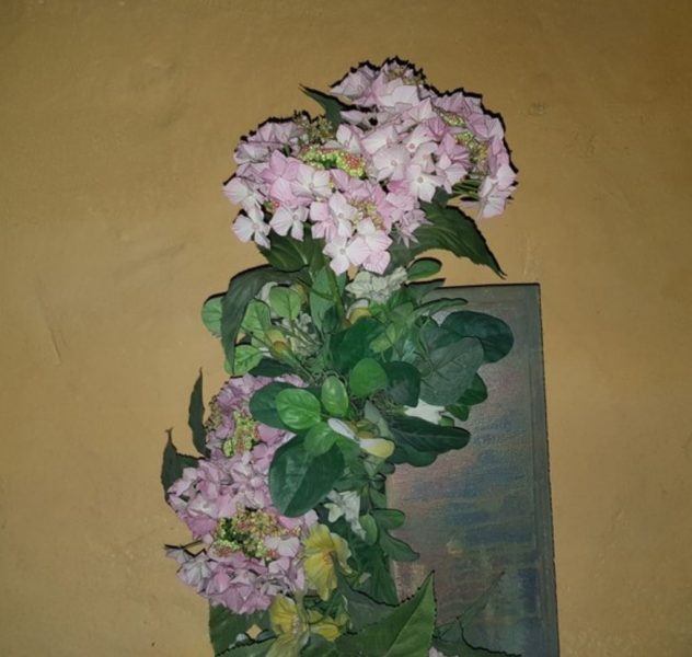 blume.JPG