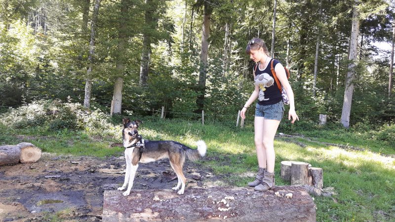20160814_145047.jpg