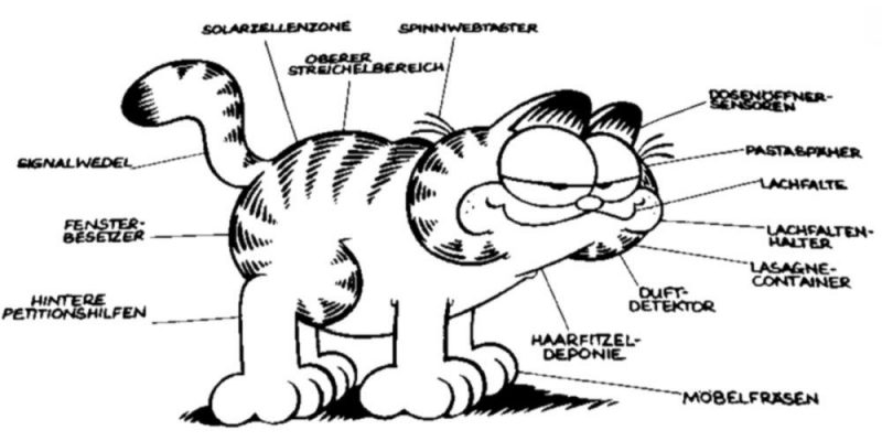 Garfield.thumb.jpg.a662f3bdd6a8f0f1fda3d7ab9f60065a.jpg