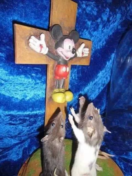 Mickey.thumb.jpg.c2fcc9d7b2d60cfcc6d1f32ecc63c8b0.jpg