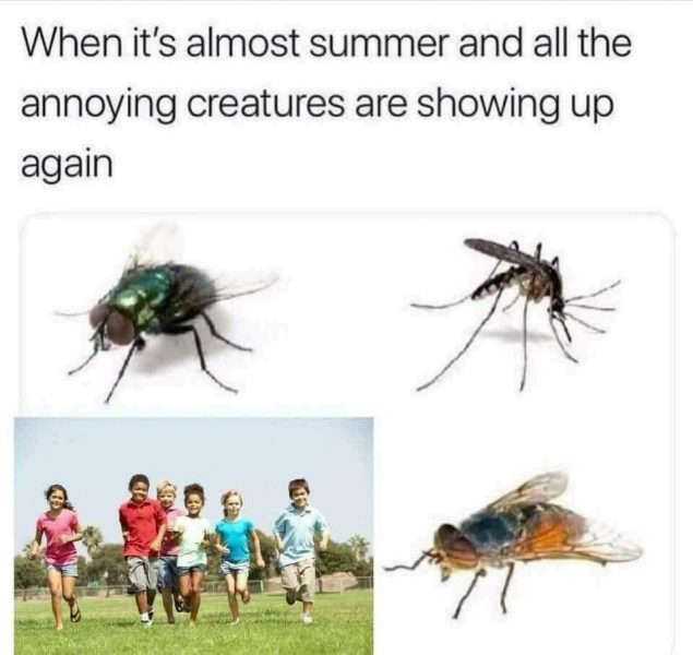 34493172_1931710020195092_9052360367706996736_n.thumb.jpg.5be5216f0263797e29ab58adffb5205b.jpg