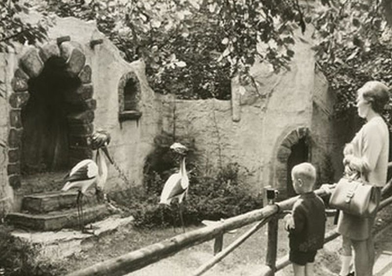 1967.thumb.jpg.7a98600caad800fd5de24bc0ae8cdaa8.jpg