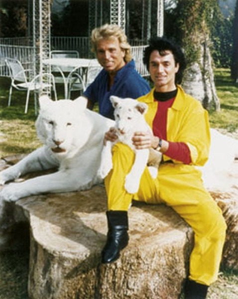 1987.thumb.jpg.928dbfac4b558ac664aa01266c7a0d6c.jpg