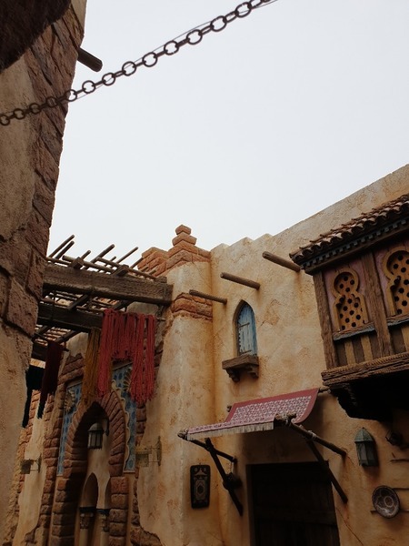 20190417_110527-756x1008.thumb.jpg.52ae359b9514eebd02af84addc9deeca.jpg
