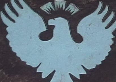 DayHawk.jpg.fbde61b9064e515a47f531bc953423ed.jpg