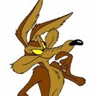 Kojote