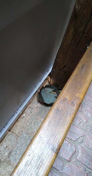 received_409530059667908.thumb.jpeg.fab683cc03357c953c5dfbc4c79e9bd8.jpeg