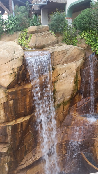 20190828_140836.jpg