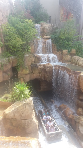 20190828_141601.jpg