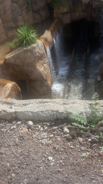 20190828_141630.jpg