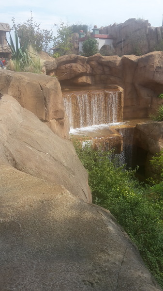 20190828_141657.jpg
