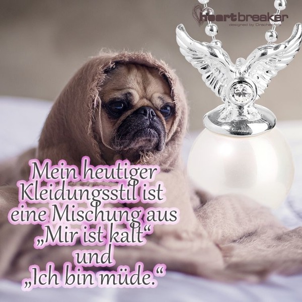f1748d17ba8ebba07c1e46610b8bfc64.jpg