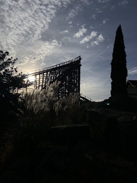93DA364A-649E-4B09-B783-F683E94223F4.jpeg