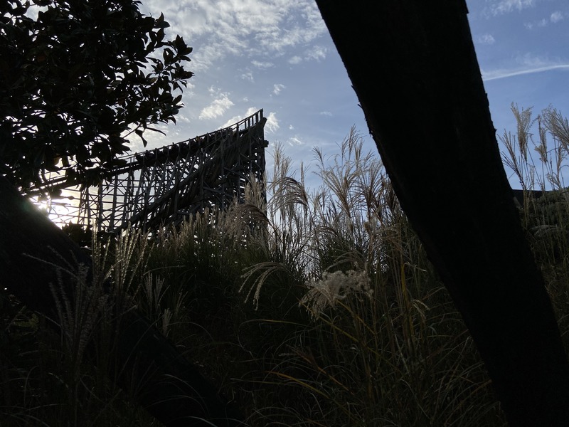 EE584683-E965-44AE-9DB8-2AAC11A033ED.jpeg