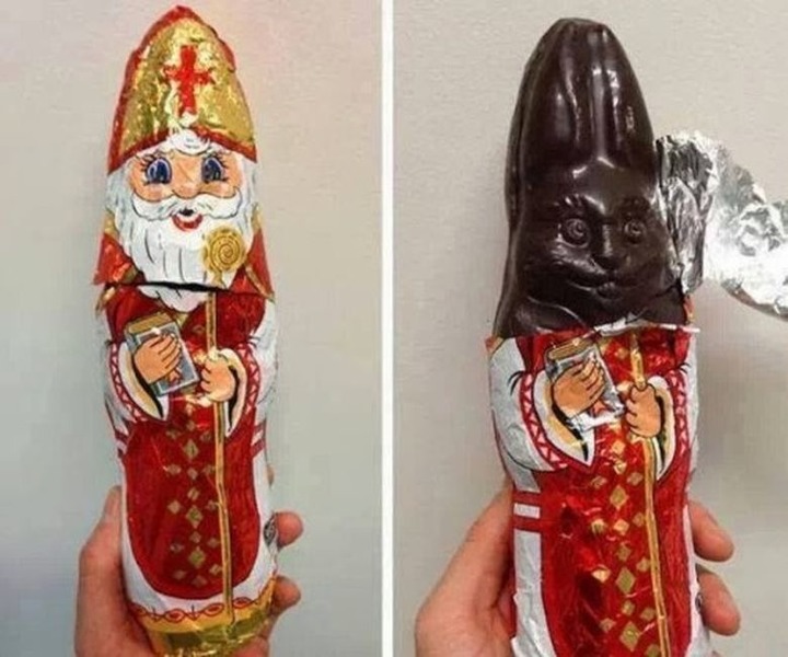 Hase.thumb.jpg.4273bdfa4e6dafd6a9669803ae16cb7e.jpg