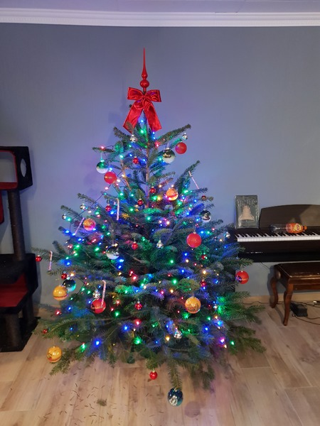 20191215_154731.jpg