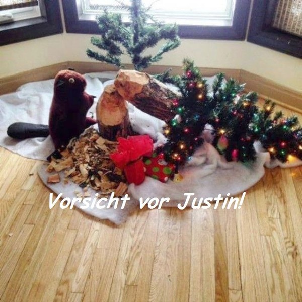 Bieber.thumb.jpg.d24ca0d1548c4cc3ee3e21176f3549e8.jpg