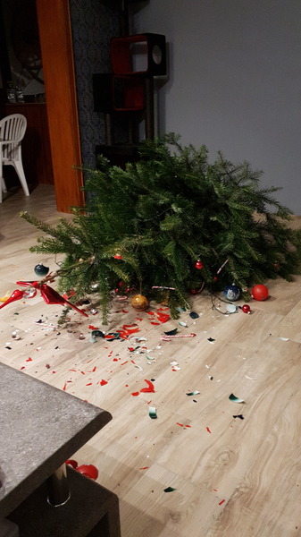 IMG-20191215-WA0069.jpeg