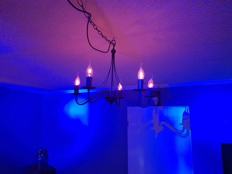 20200728_202620.jpg