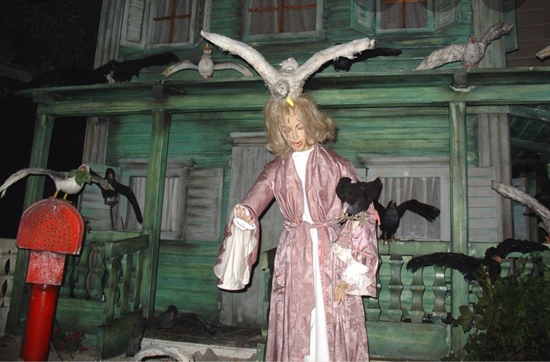 20201004_120001.jpg
