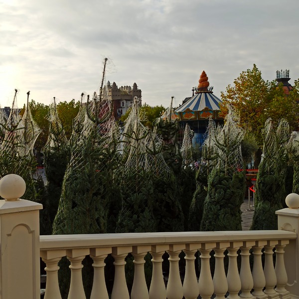 IMG_20201019_100859.jpg