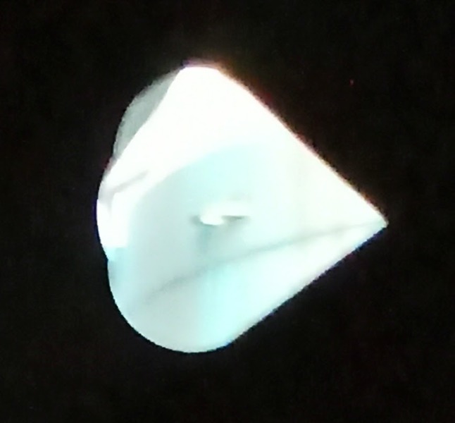 IMG_20201001_132642.jpg