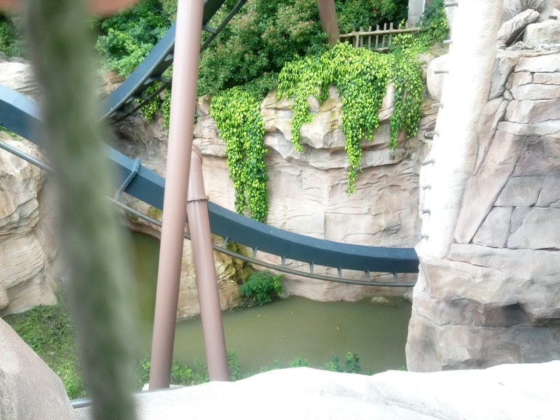 IMG_20210715_125409_167.jpg