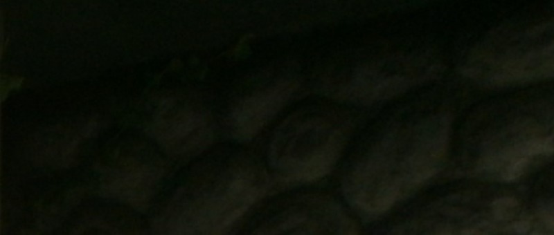 Schwer.thumb.jpg.1619f906466df4e9d0079d24992a8d66.jpg