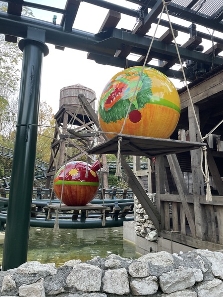21067657-63B5-4470-88DD-516548C72E00.jpeg