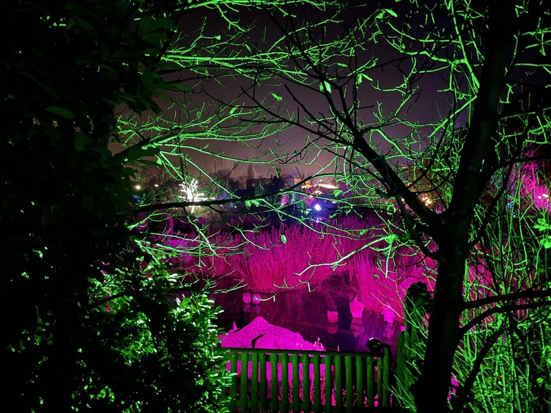 CCD104D5-EF0B-4A1D-AD92-7C7BA00E20E3.thumb.jpeg.fff5797145413e71cef243a260bf7d7d.jpeg