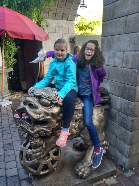 IMG_20191017_094227457_HDR.jpg