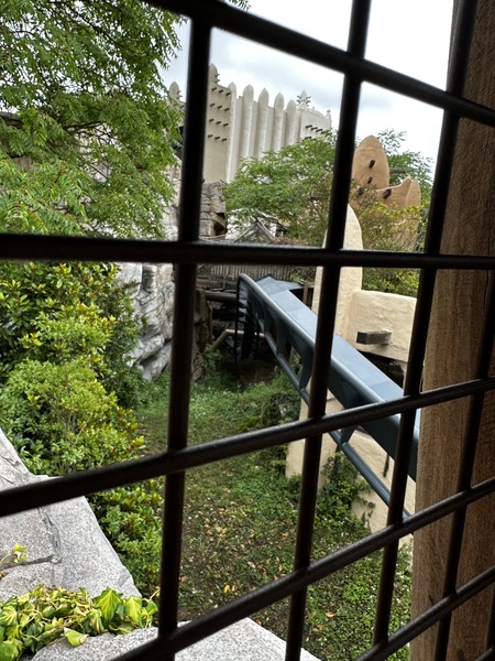 IMG_0954.jpeg