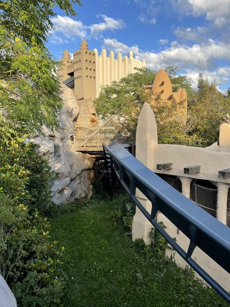 IMG_0504.JPEG