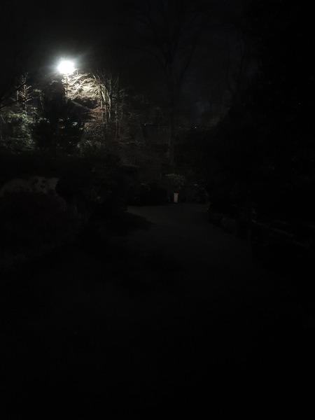 20251205_190921.jpg