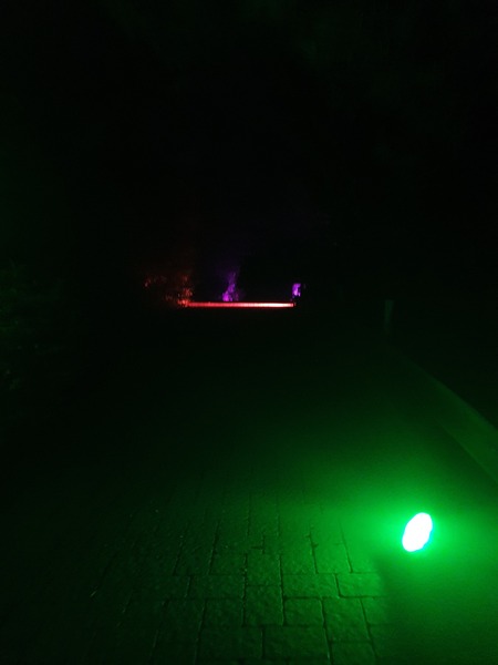 20251205_191115.jpg