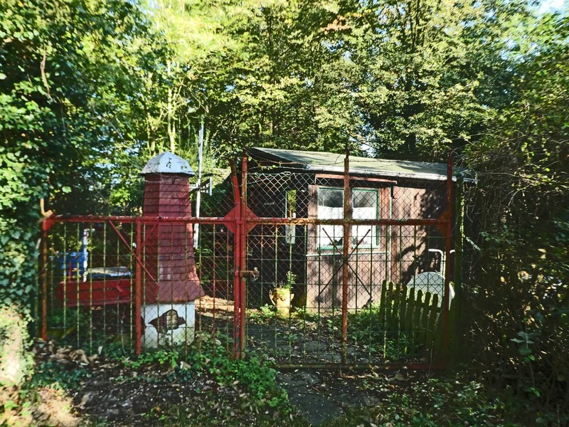 1000119322-1.jpg