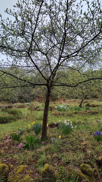 IMG_20260328_111605185_HDR.jpg