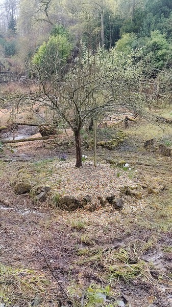 IMG_20260328_111805729_HDR.jpg