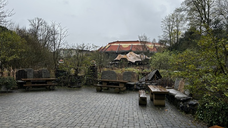 IMG_8594.jpeg