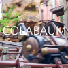 Colabaum